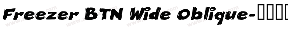 Freezer BTN Wide Oblique字体转换